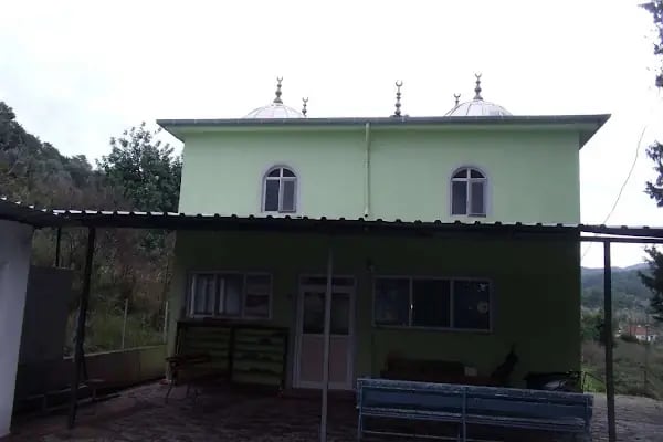 Kapıkargın Mahallesi Karadere Camii - Resim 18