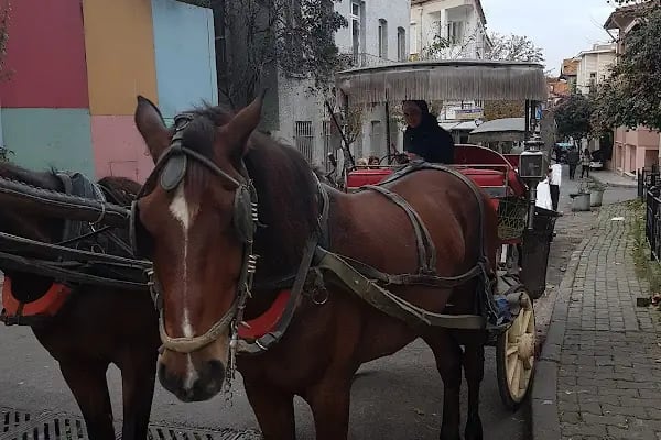 Mimar Mehmet Bölük Kültür ve Sanat Parkı - Resim 7