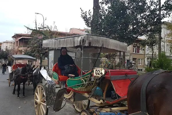 Mimar Mehmet Bölük Kültür ve Sanat Parkı - Resim 4