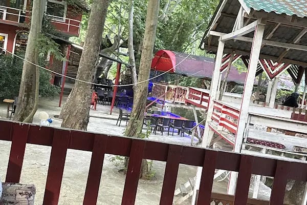 Tarzan Alabalık Çiftliği - Resim 4