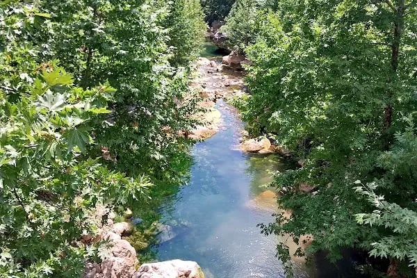 Tarzan Alabalık Çiftliği - Resim 11