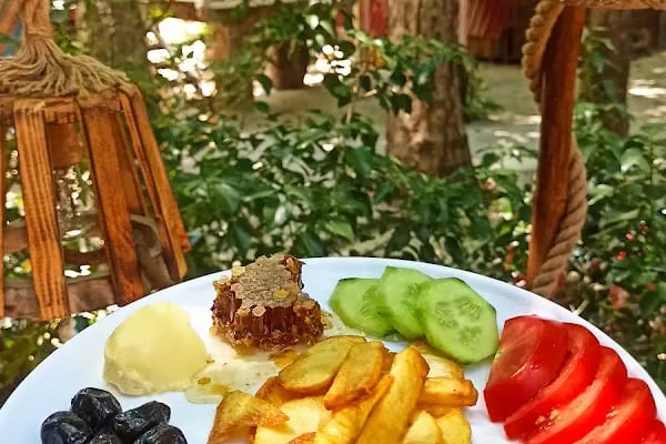 Tarzan Alabalık Çiftliği - Resim 19