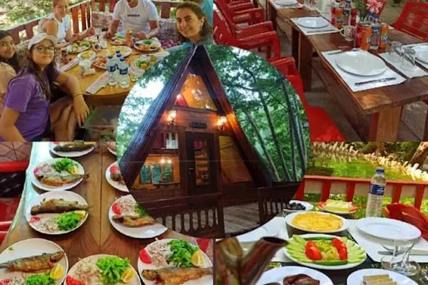 Tarzan Alabalık Çiftliği - Resim 3
