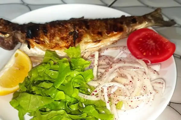 Tarzan Alabalık Çiftliği - Resim 5