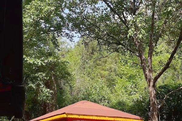 Tarzan Alabalık Çiftliği - Resim 18
