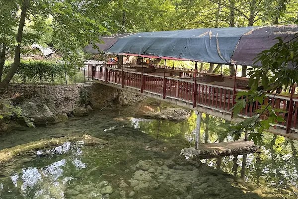 Tarzan Alabalık Çiftliği - Resim 9