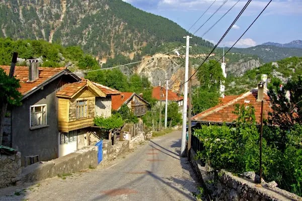 Tarzan Alabalık Çiftliği - Resim 17