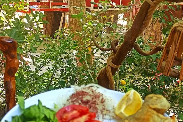 Tarzan Alabalık Çiftliği - Resim 20
