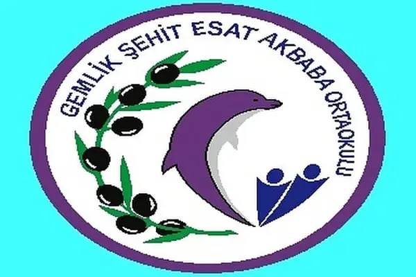 Şehit Esat Akbaba Ortaokulu - Resim 12