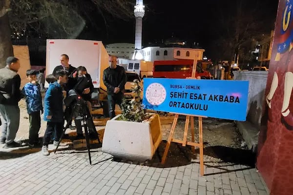 Şehit Esat Akbaba Ortaokulu - Resim 6