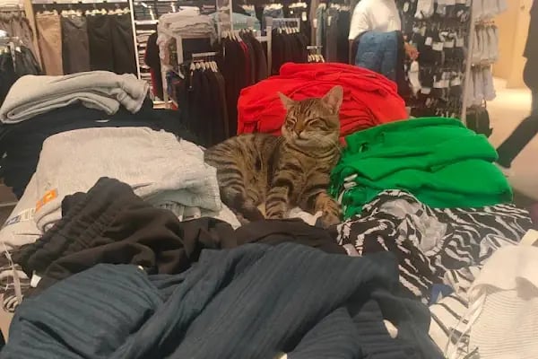 Park Bornova Outlet Center - Resim 19