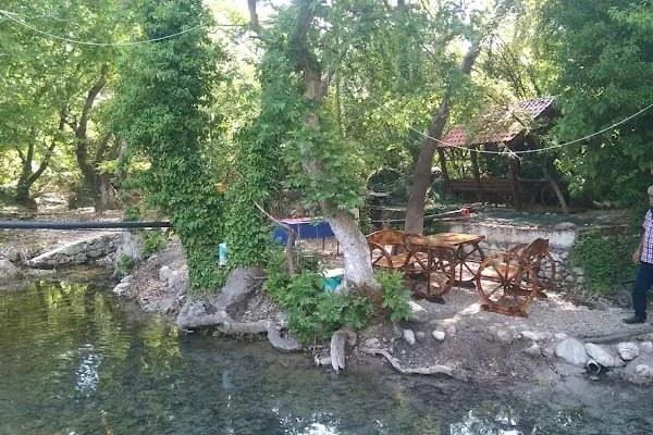 Beşoluk Canlı Alabalık Restoran - Resim 20