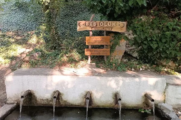 Beşoluk Canlı Alabalık Restoran - Resim 7