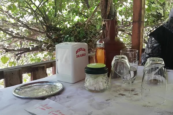 Beşoluk Canlı Alabalık Restoran - Resim 19