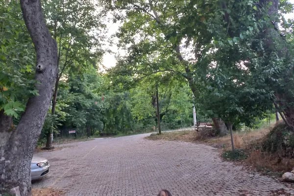 Beşoluk Canlı Alabalık Restoran - Resim 4