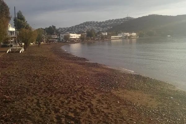 Gümüşlük Belediyesi - Resim 10