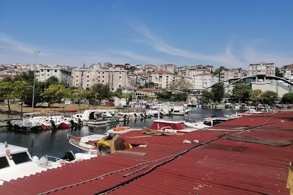 Küçükçekmece gölü - Resim 13