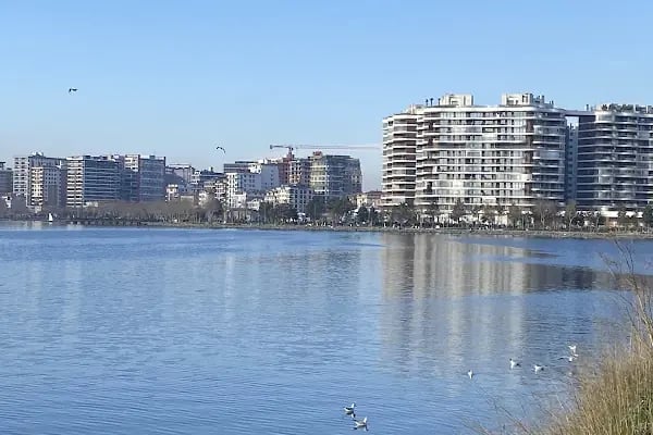 Küçükçekmece gölü - Resim 7