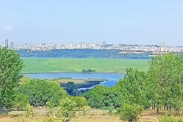 Küçükçekmece gölü - Resim 19