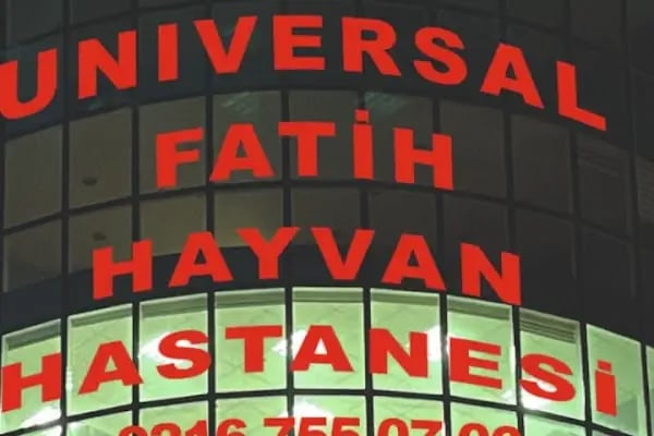 Universal Fatih Hayvan Hastanesi Avcılar - Resim 2