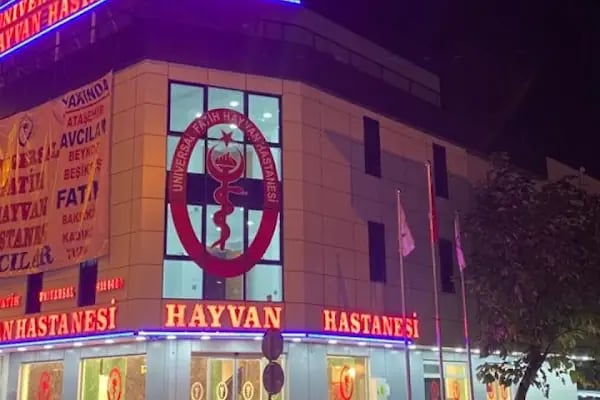 Universal Fatih Hayvan Hastanesi Avcılar - Resim 3