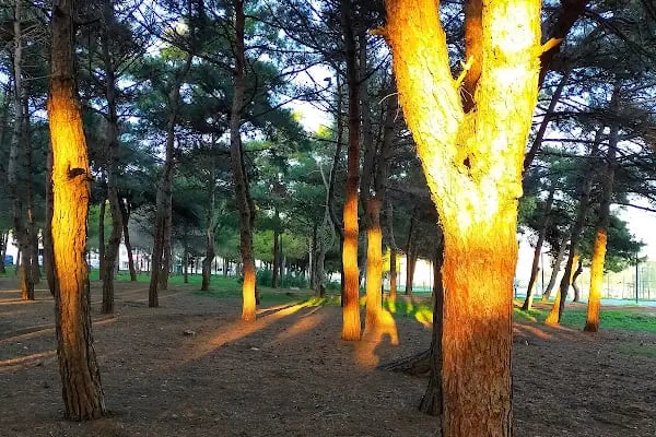 Balcı PARK - Resim 2