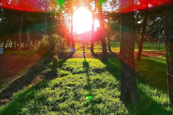 Balcı PARK - Resim 5
