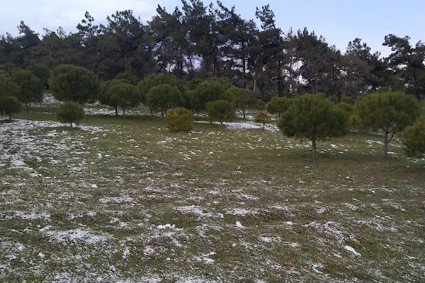 Balcı PARK - Resim 13