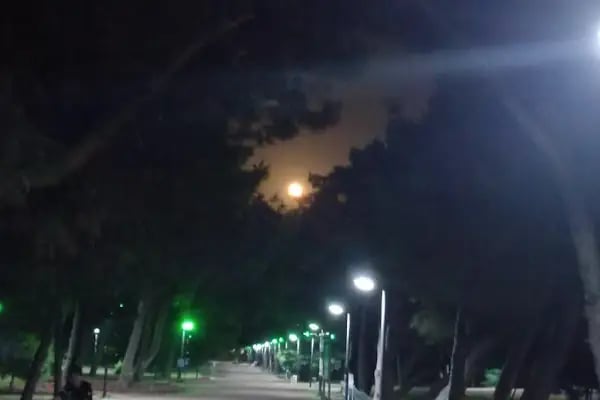 Balcı PARK - Resim 10