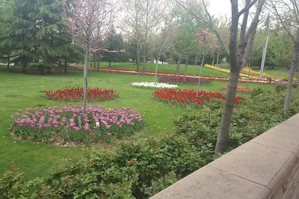 Hacettepe Üniversitesi Sıhhıye Kampüsü - Resim 5