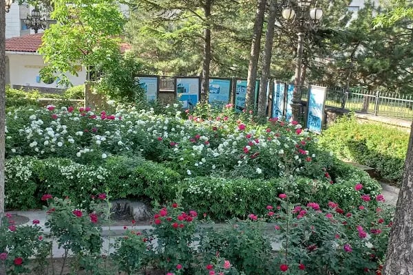 Hacettepe Üniversitesi Sıhhıye Kampüsü - Resim 6