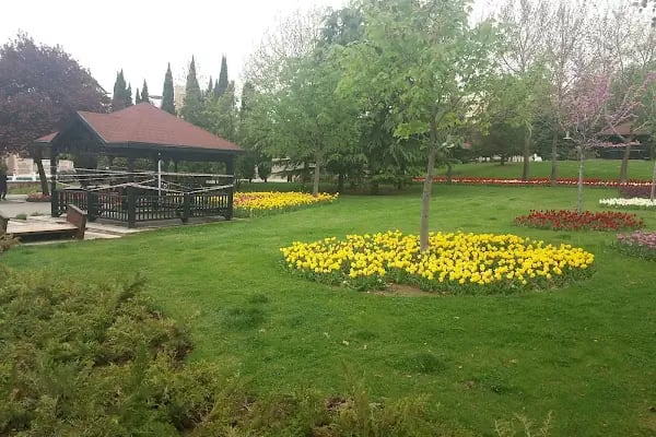 Hacettepe Üniversitesi Sıhhıye Kampüsü - Resim 12