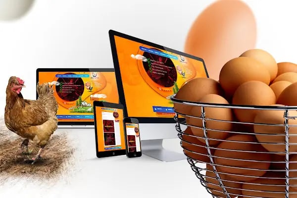 Mersin Web Tasarım | Mavi Kedi Reklam Ajansı - Resim 7