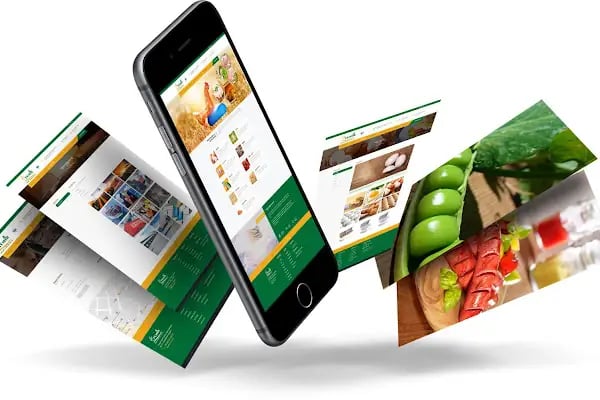 Mersin Web Tasarım | Mavi Kedi Reklam Ajansı - Resim 3