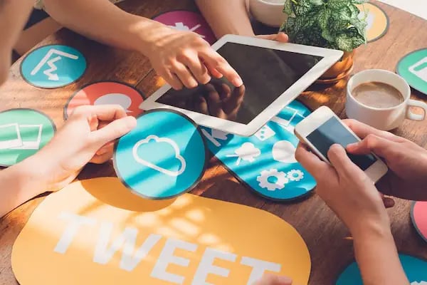Mersin Web Tasarım | Mavi Kedi Reklam Ajansı - Resim 15