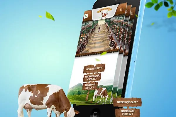 Mersin Web Tasarım | Mavi Kedi Reklam Ajansı - Resim 8