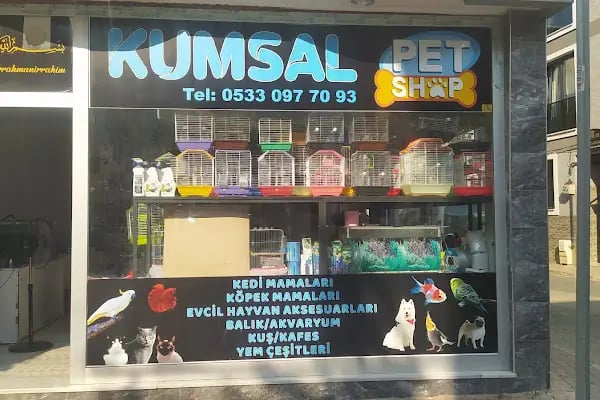 KUMSAL PETSHOP - Resim 2