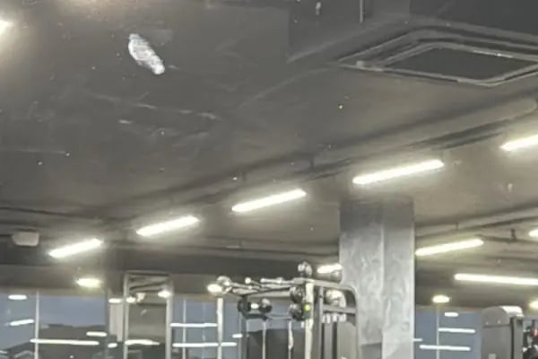 Kingdom Sport Club - Resim 19