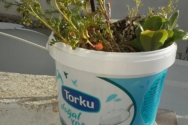 Konacık Cahit Özvezneci İlköğretim Okulu - Resim 4