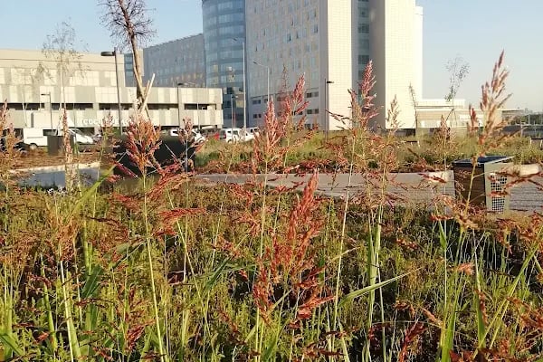 Etlik Şehir Hastanesi Göğüs, Kalp ve Damar Hastalıkları Hastanesi - Resim 5