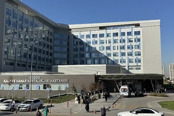 Etlik Şehir Hastanesi Göğüs, Kalp ve Damar Hastalıkları Hastanesi - Resim 1