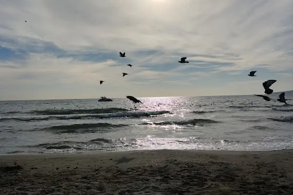 Büyükçekmece Plajı - Resim 16
