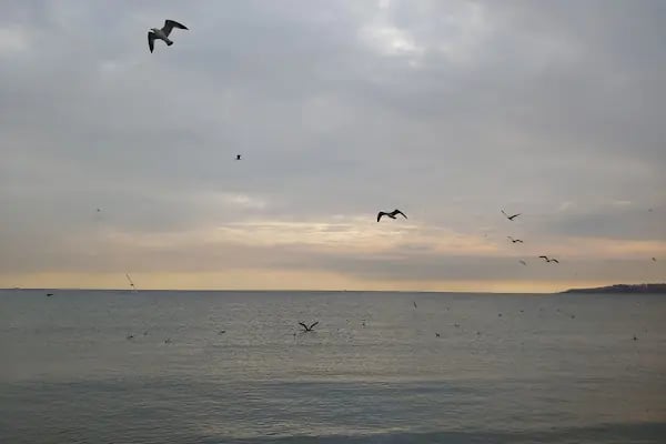 Büyükçekmece Plajı - Resim 8