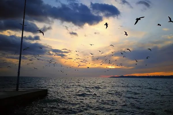 Büyükçekmece Plajı - Resim 14