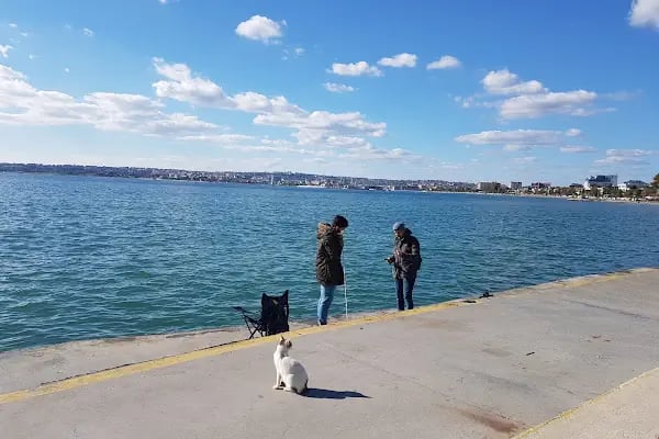 Büyükçekmece Plajı - Resim 15