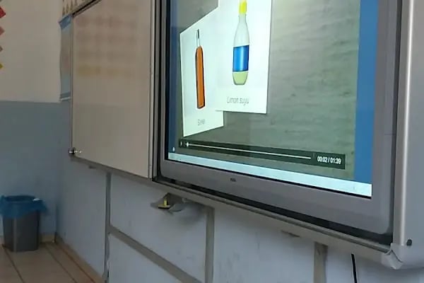 Dr. Şahin-birsel Biçer İlkokulu - Resim 2