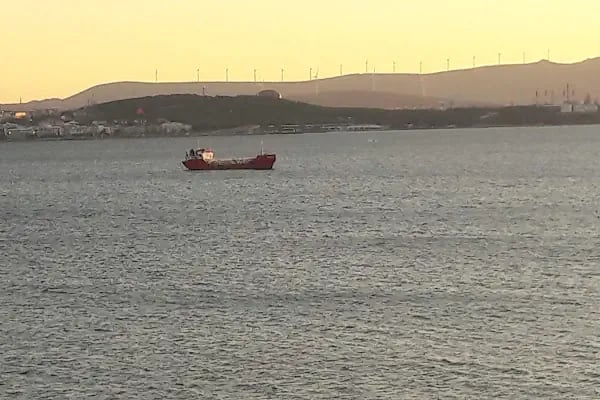 Özsüt - Resim 13