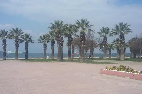 Özsüt - Resim 16