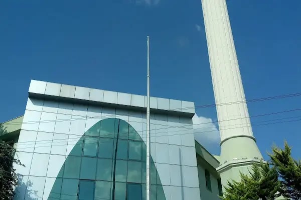 Avni Naili Limboz Camii - Resim 6