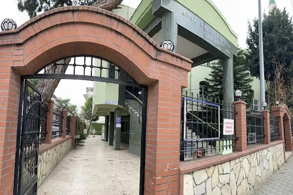 Avni Naili Limboz Camii - Resim 4